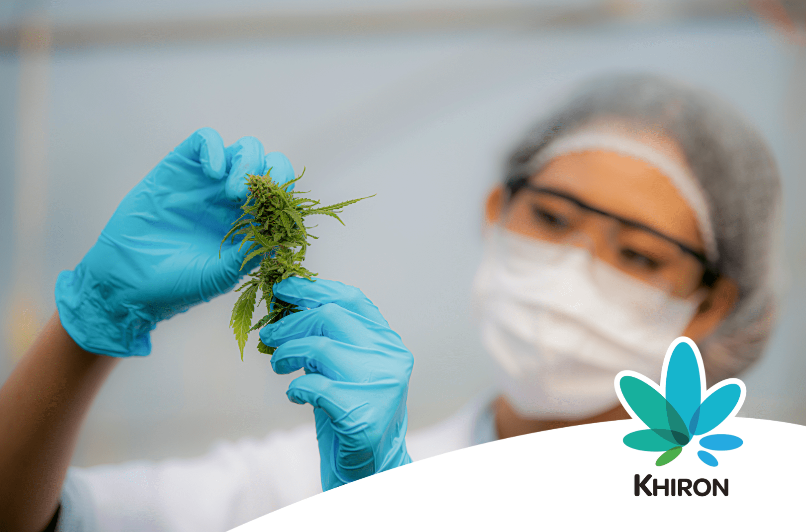 Was ist medizinisches Cannabis?