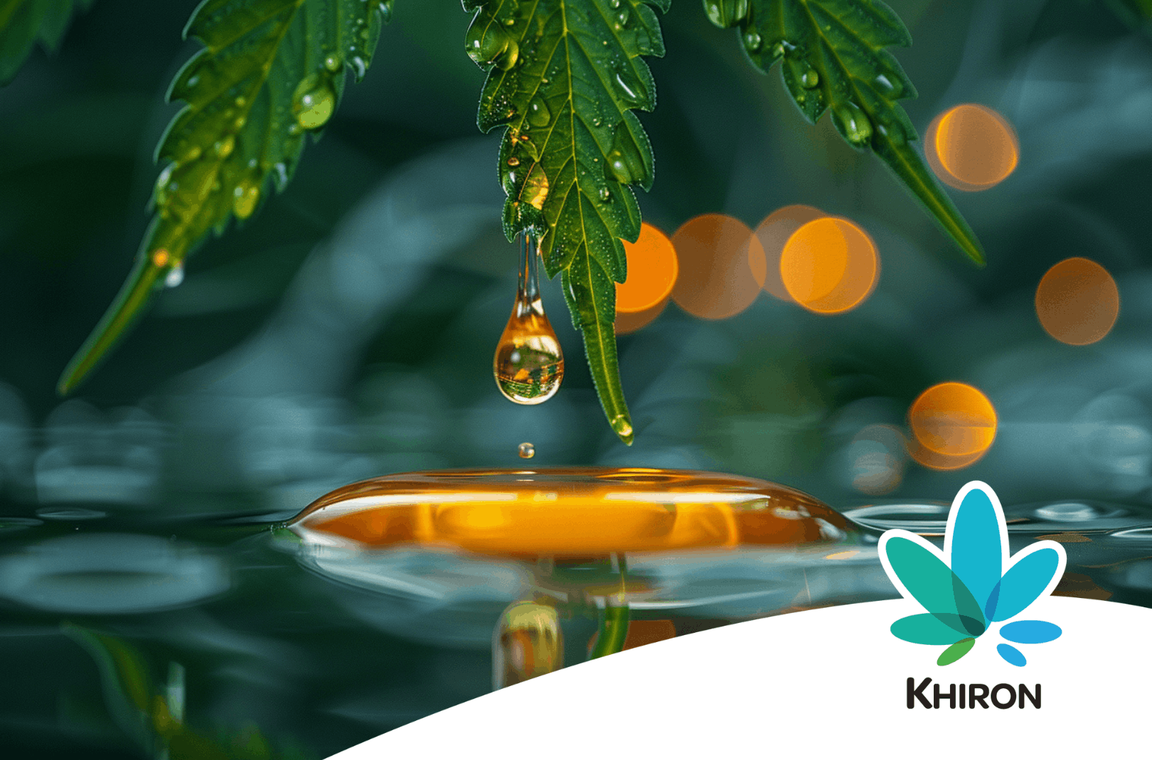 Was ist ein Cannabis Extrakt