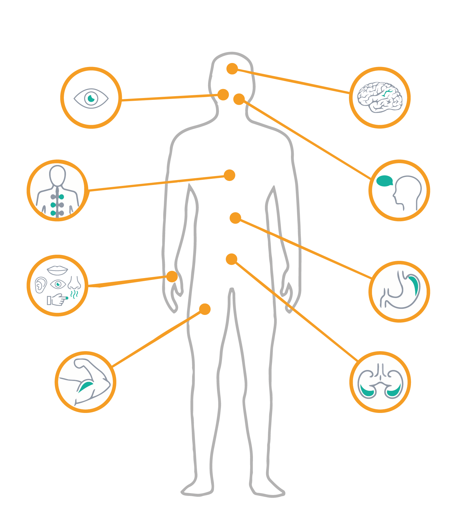 MS Symptome im Überblick