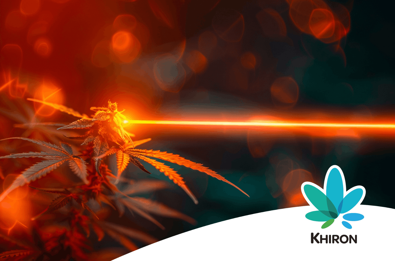 Cannabis Bestrahlung