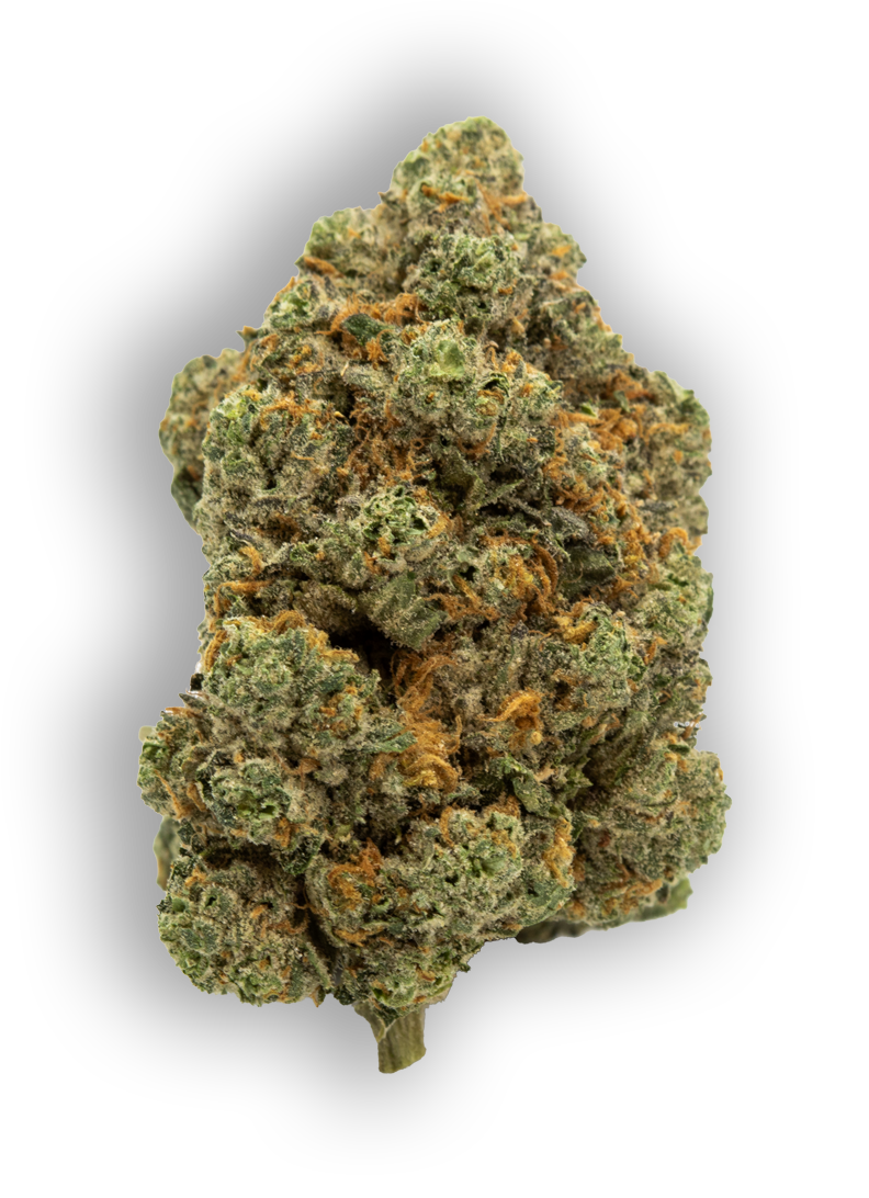 Blue Candy Flower