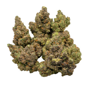 Royal Gelato