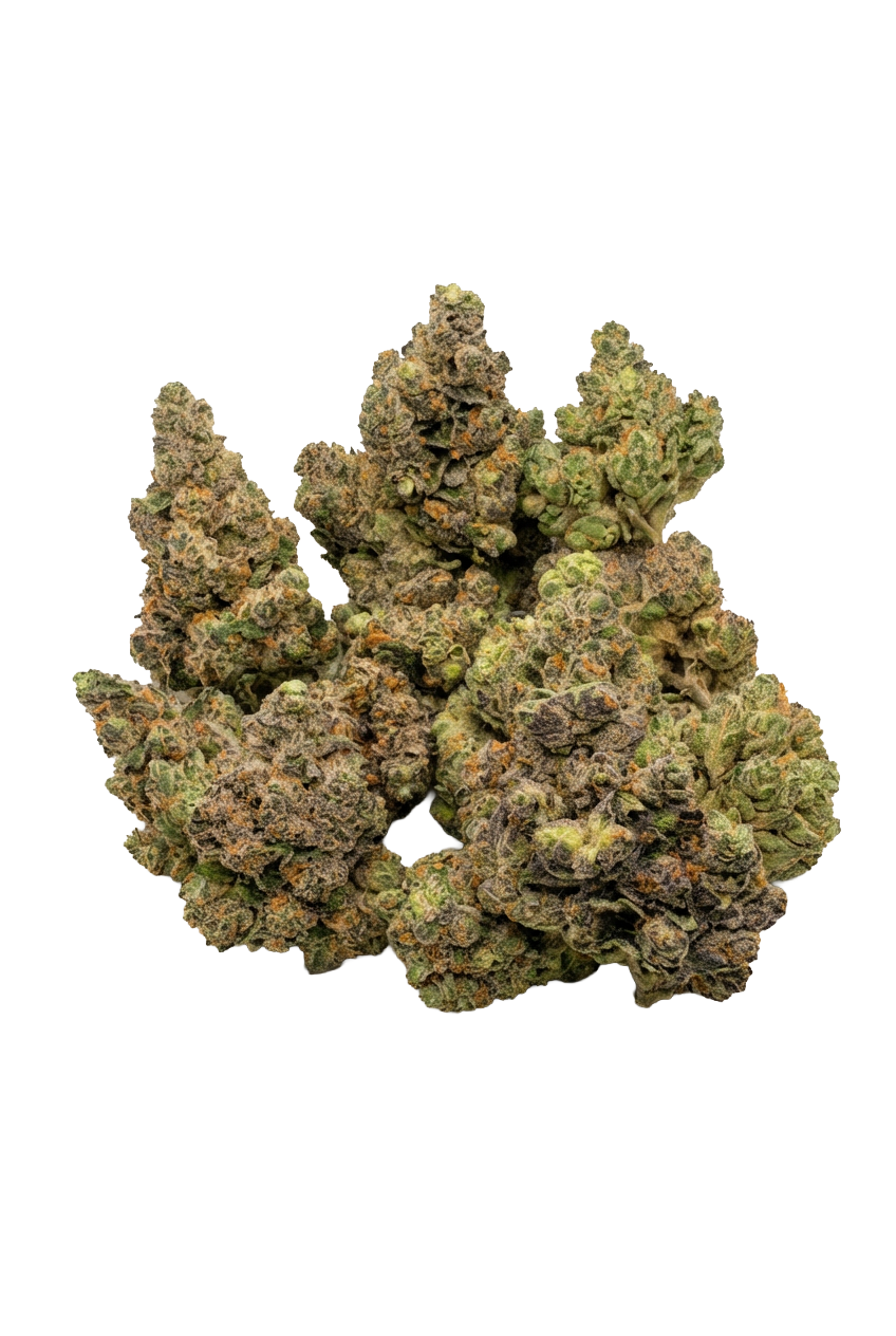 Royal Gelato